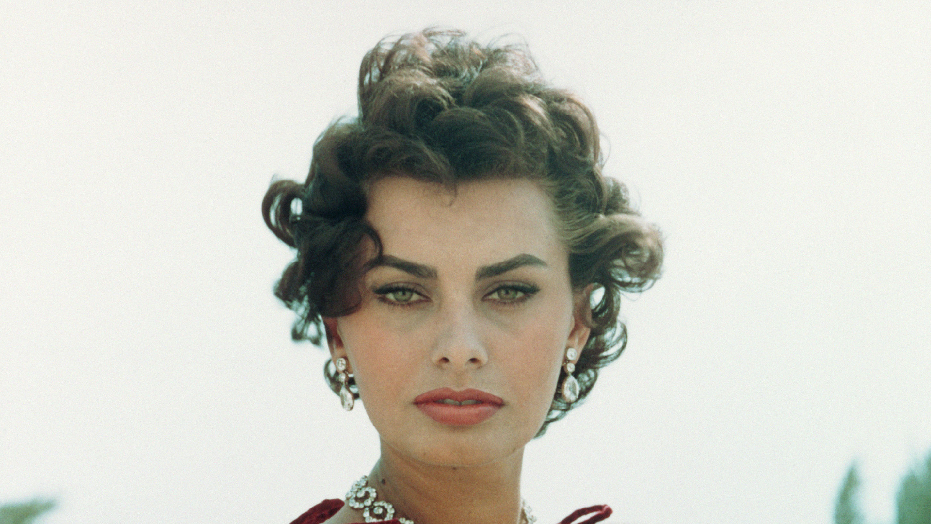 Sophia Loren